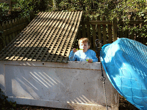 Happy Springtime from Fort Bubbles