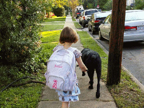 We didn't miss the bus.